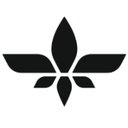 Lilium Dental Center company logo