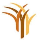 DBSA company logo