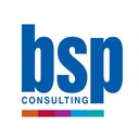 BSP Consulting company logo