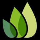 Elan Energy company logo