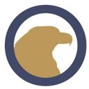Eagle Point Solutions company logo