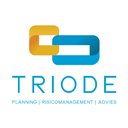 Triode BV company logo