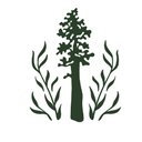 Momentum Behavior Services company logo