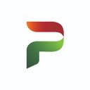Palmer International, Inc. company logo