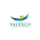 VALEXCO company logo