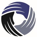 Allied Accounts Management, Inc. company logo
