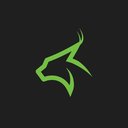 Lynx Emissions company logo