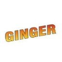 GINGER company logo