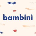 Bambini Learning Group company logo