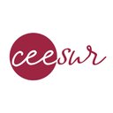 CEESUR INTEGRACION company logo