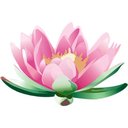 Waialae Senior Living company logo