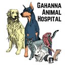 Gahanna Animal Hospital company logo