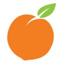 Peach Physiotherapy and Wellness Centre company logo