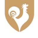 Taylor and Taylor Care ltd company logo