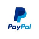 paypal company logo