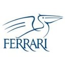 Ferrari Group company logo