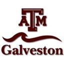 Texas A&amp;M University at Galveston company logo