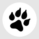 Jay Wolfe Body Shop company logo