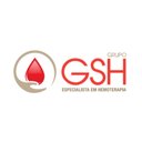 GSH company logo