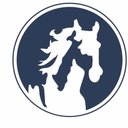 White Horse Auto Wash company logo
