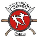 Martial Arts Academy Sener company logo