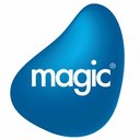 Magic Software Enterprises company logo
