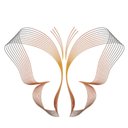 Discovery Federal Credit Union company logo