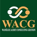 WANEGUE AUDIT CONSULTING GESTION company logo