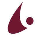 procuritas GmbH company logo
