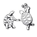 TERRAPIN HOUSE INC company logo