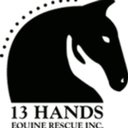 13 Hands Equine Rescue company logo