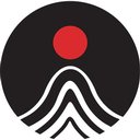 Particle Measuring Systems company logo