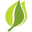 Ayla Networks company logo