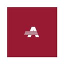Action Electrical company logo