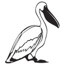Pelican Int'l company logo