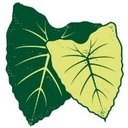 Partners In Development Foundation company logo