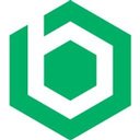 Brinqa company logo