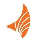 Brisanet company logo