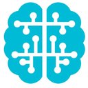 TechBrein Solutions PVT LTD company logo