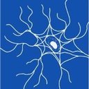 Michigan Neurology Associates, PC company logo