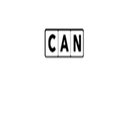 Children's Apparel Network company logo