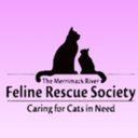 Merrimack River Feline Rescue Society company logo