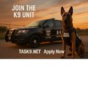 TASK9 Security company logo