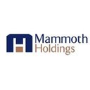 Mammoth Holdings LLC company logo