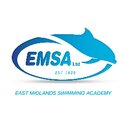 EMSA company logo