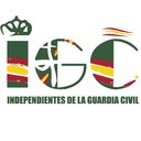 IGC company logo