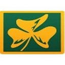 Blarney Castle Oil Co company logo