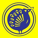 The Chennai Silks company logo