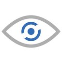 CRV Surveillance company logo