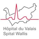 Hôpital du Valais company logo